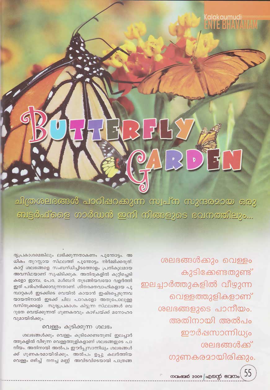 Butterfly Garden