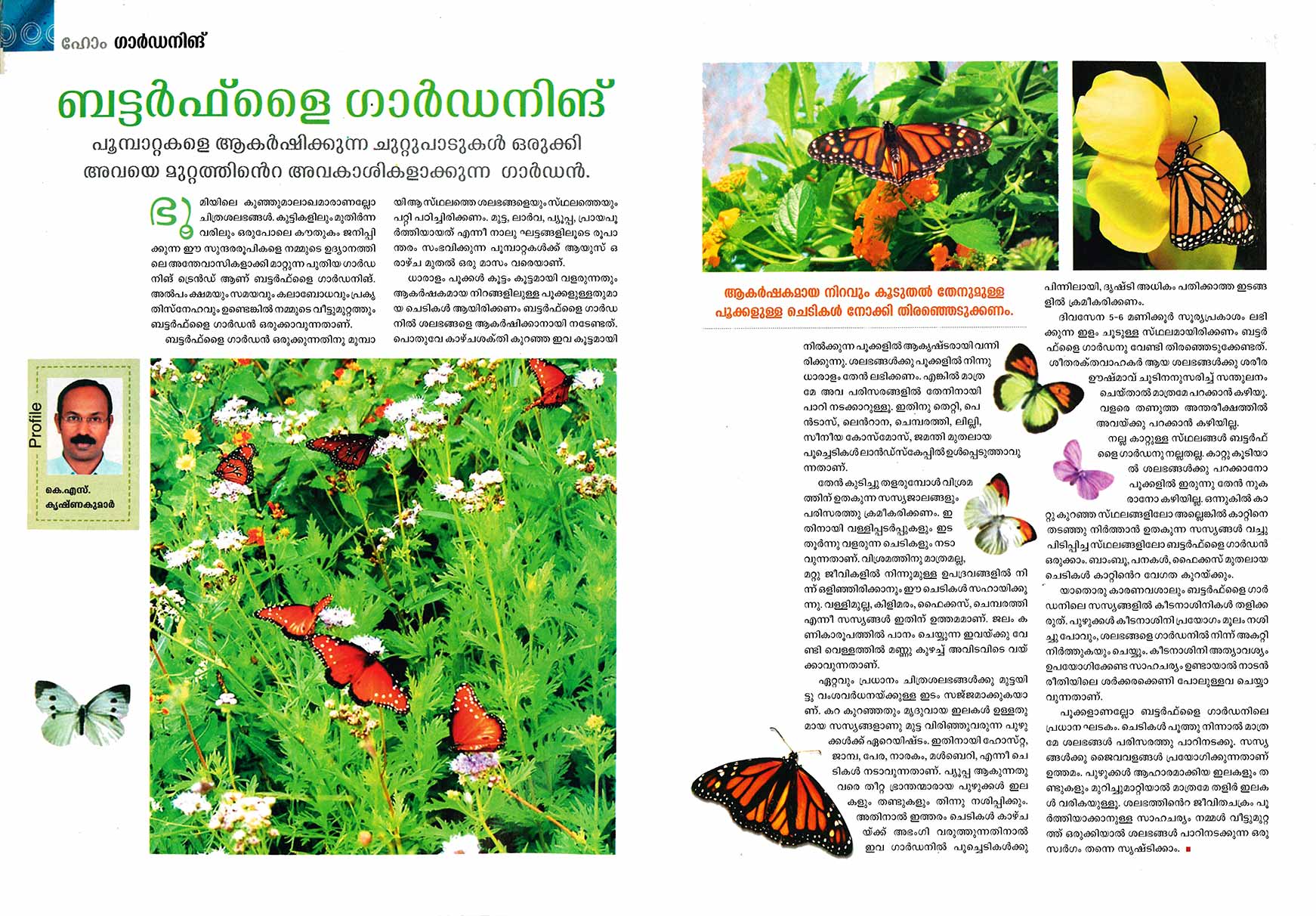 Butterfly Gardening.