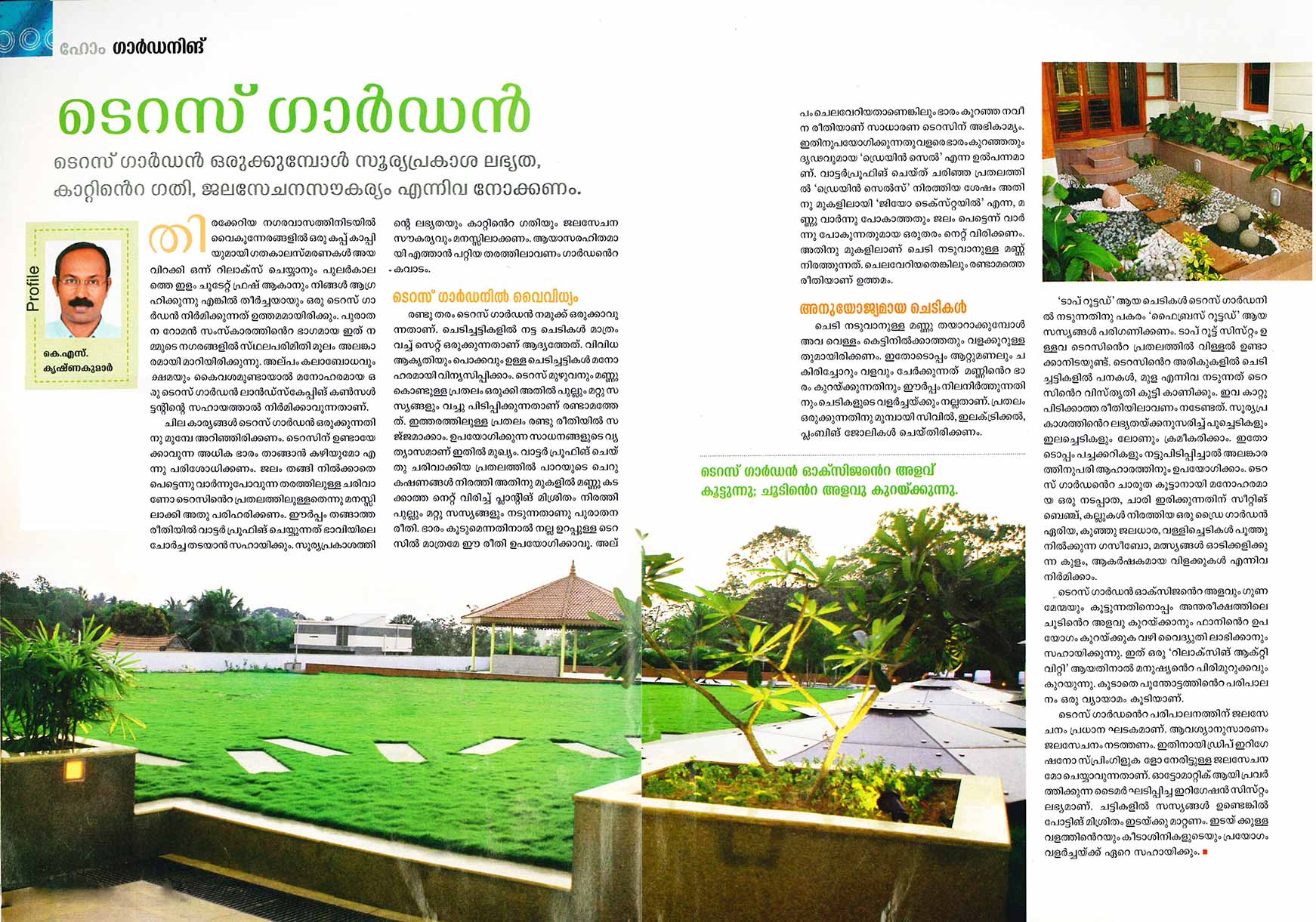 Roof Gardening
